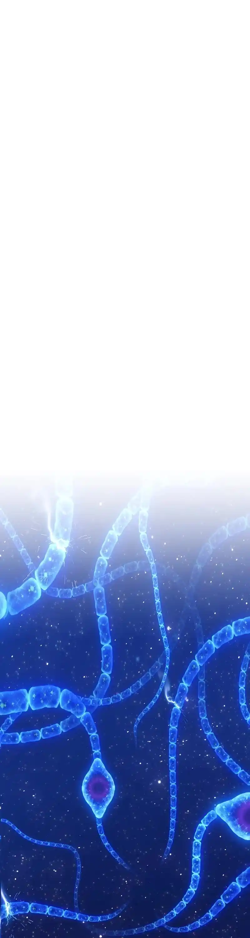 +99 Reinforced Wooden Stick Chapter 67