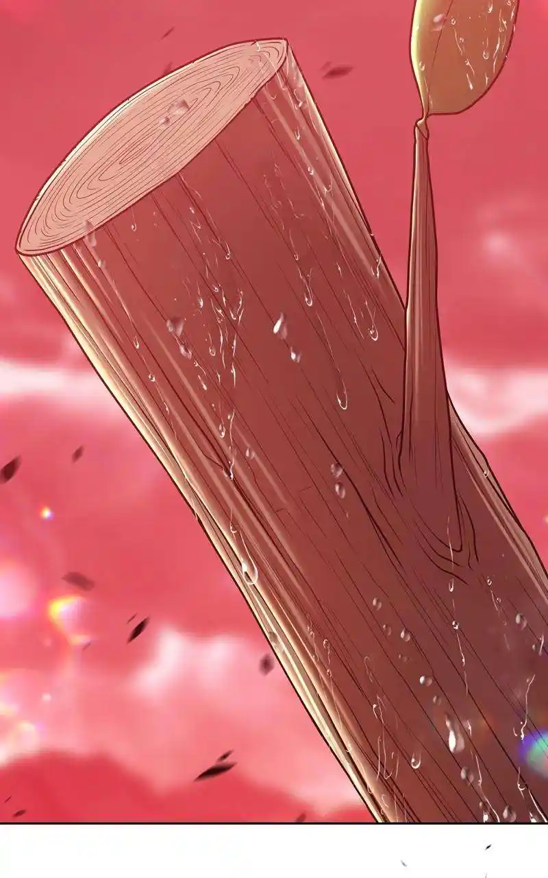 +99 Reinforced Wooden Stick Chapter 80.1