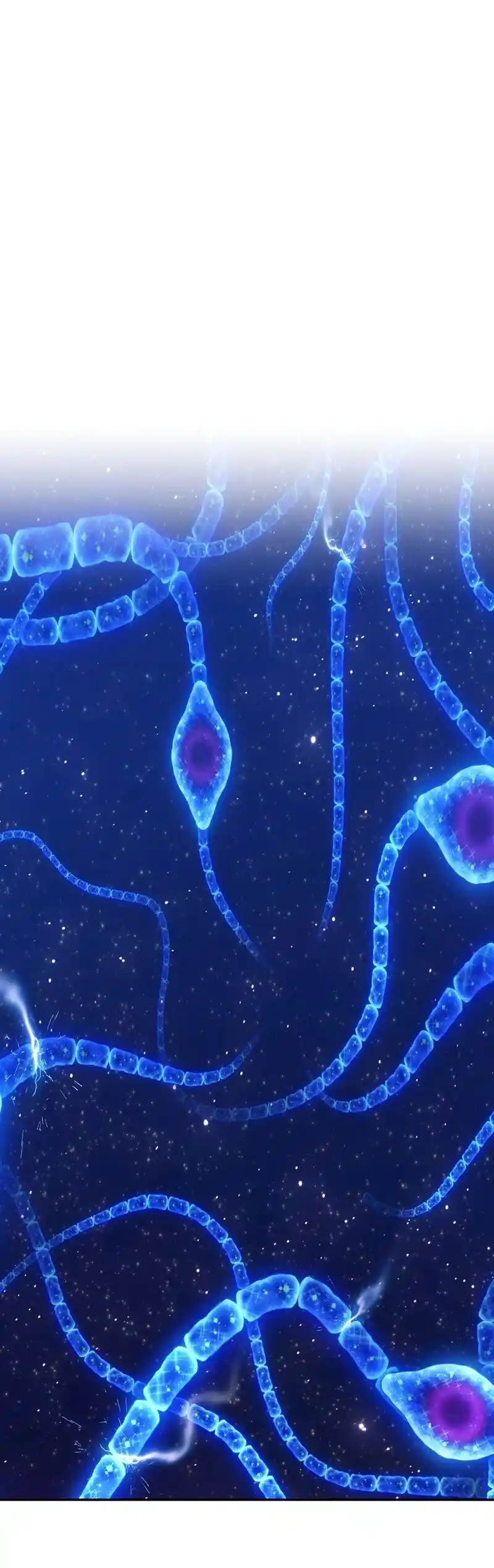 +99 Wooden Stick Chapter 66