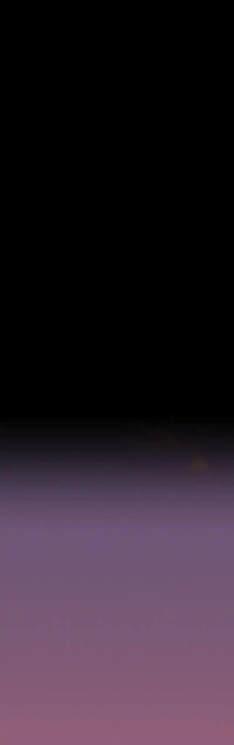 +99 Wooden Stick Chapter 79