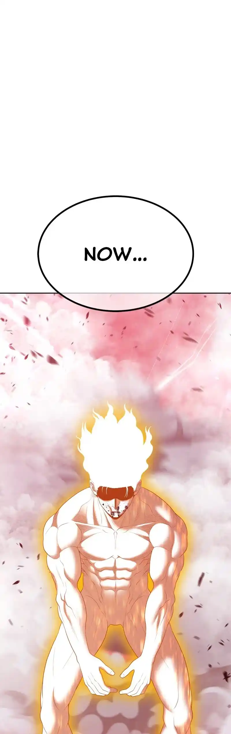 +99 Wooden Stick Chapter 81