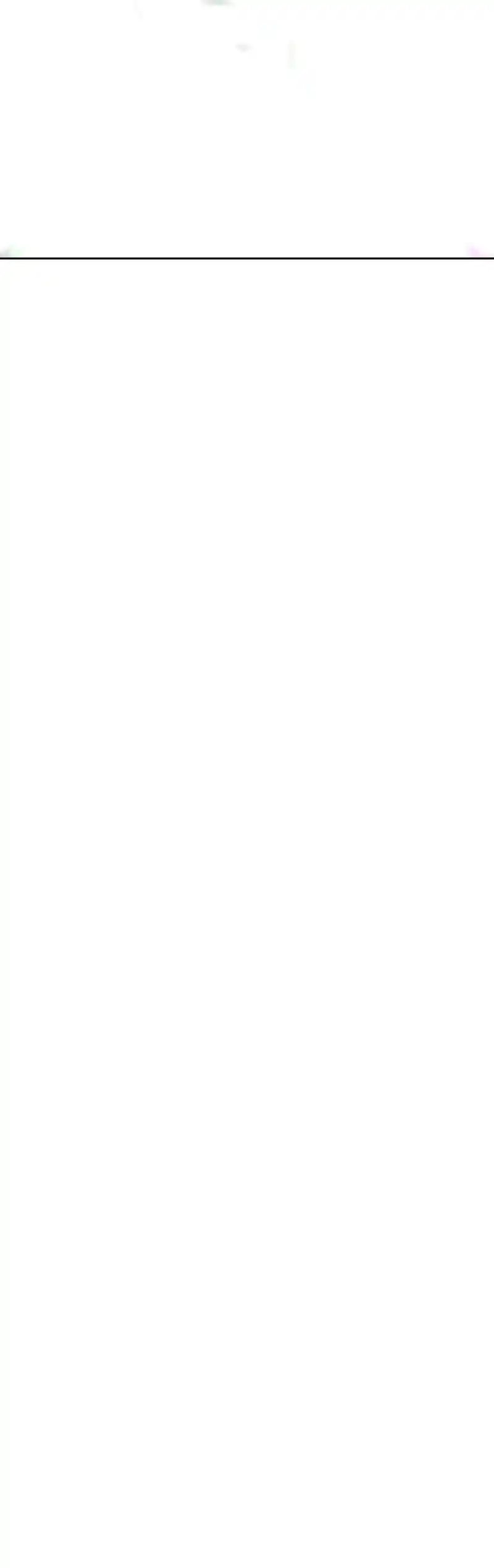 +99 Wooden Stick Chapter 81