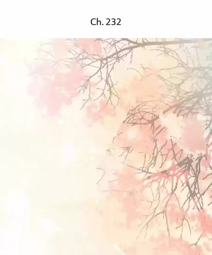 A Beauty, a Fatal Concubine ch.232