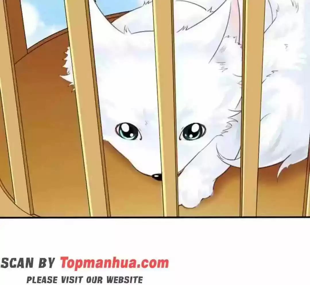 A Beauty, a Fatal Concubine Chapter 106