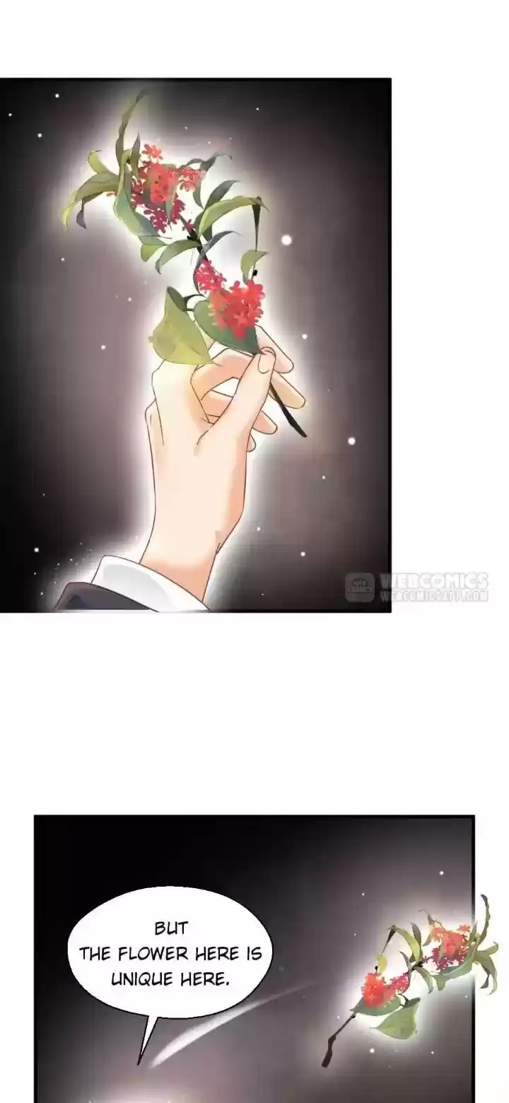 A Beauty, A Fatal Concubine Chapter 203