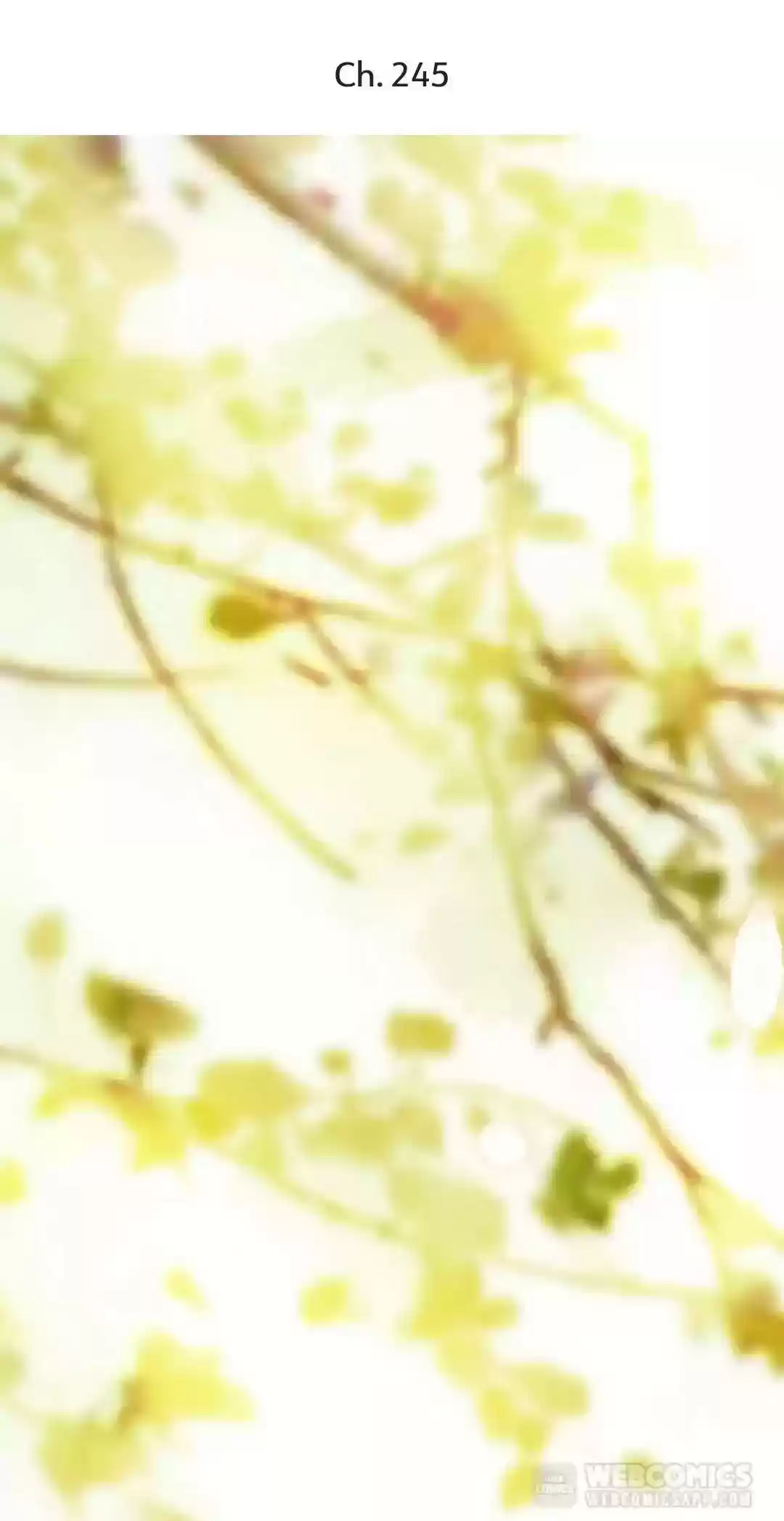 A Beauty, A Fatal Concubine Chapter 245