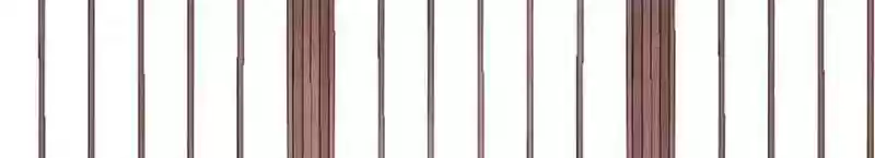 A Beauty, a Fatal Concubine Chapter 28