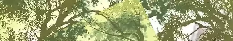 A Beauty, a Fatal Concubine Chapter 29