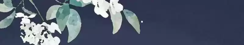 A Beauty, a Fatal Concubine Chapter 30