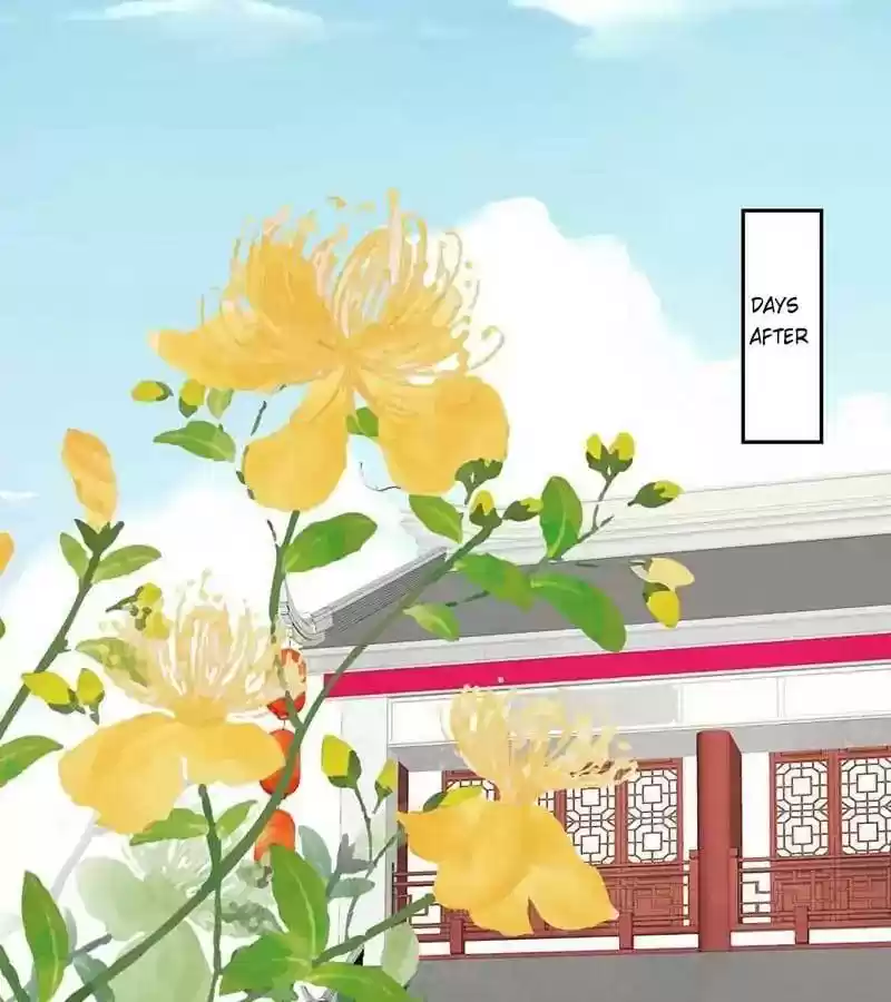 A Beauty, a Fatal Concubine Chapter 36