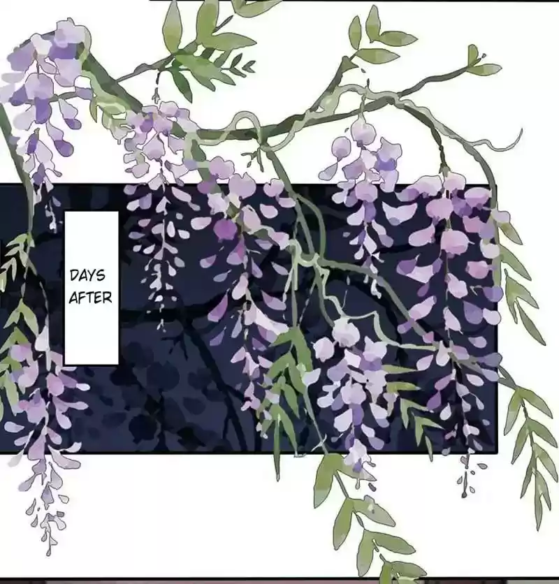 A Beauty, a Fatal Concubine Chapter 52