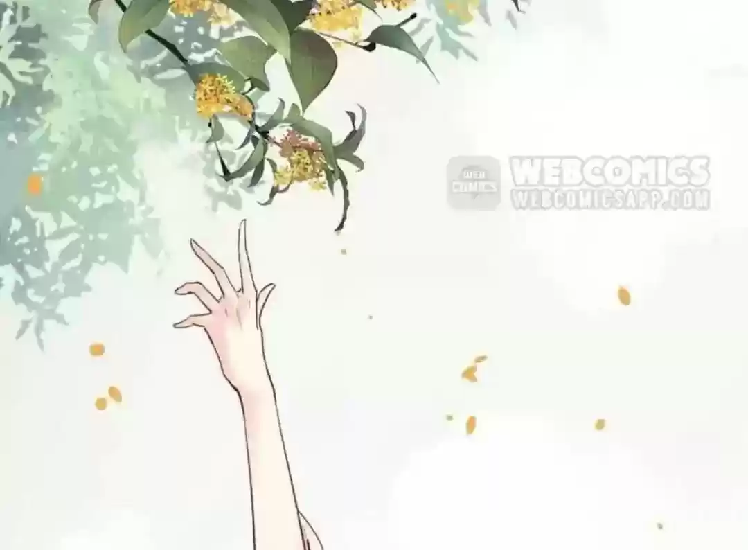 A Beauty, a Fatal Concubine Chapter 70