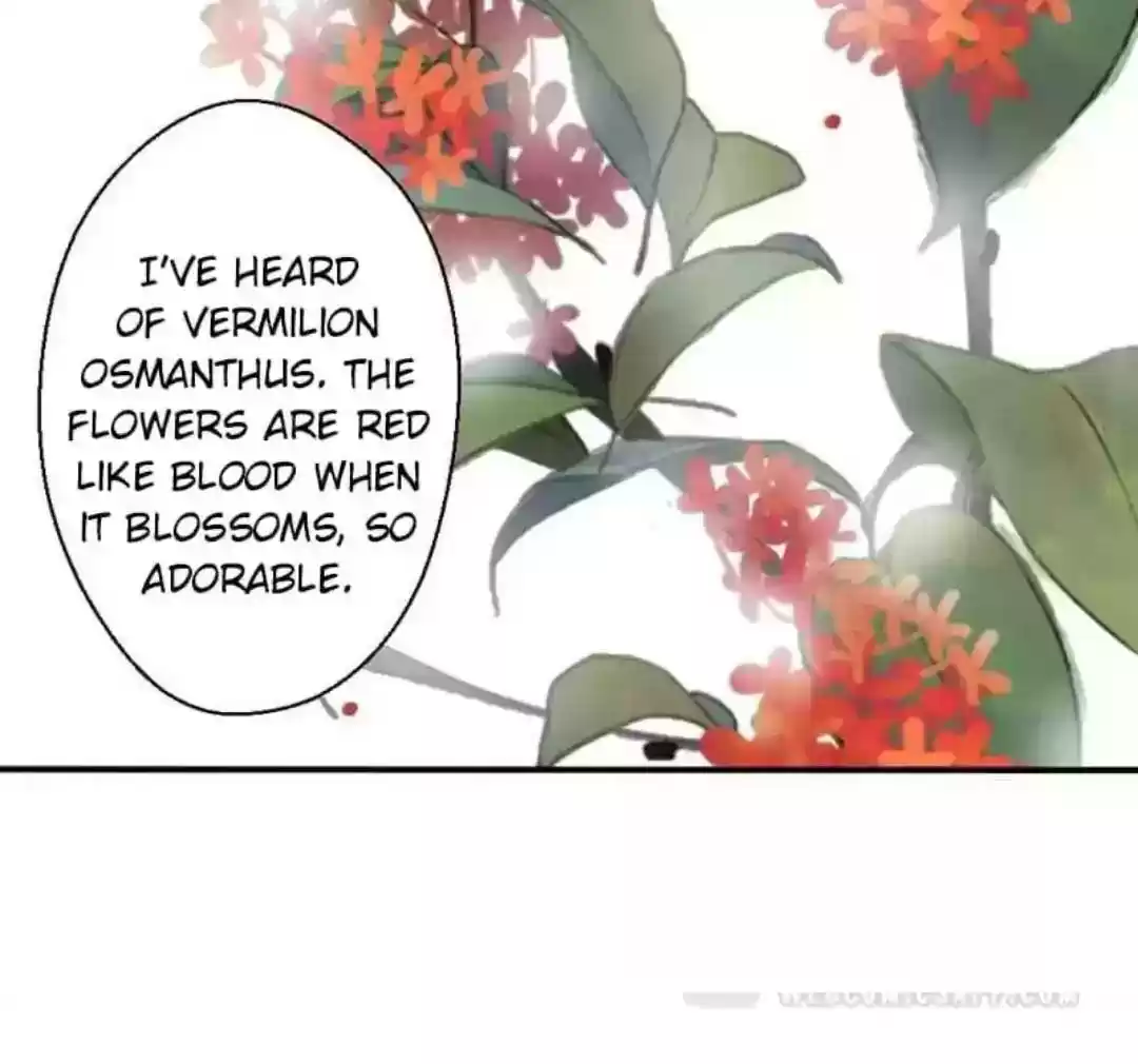 A Beauty, a Fatal Concubine Chapter 73