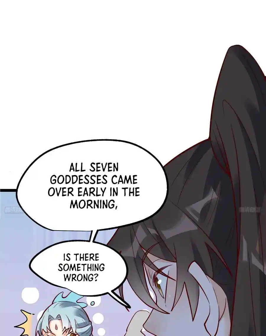 A Big Shot Actually 335