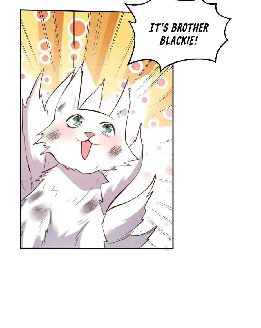 A Big Shot Actually 356