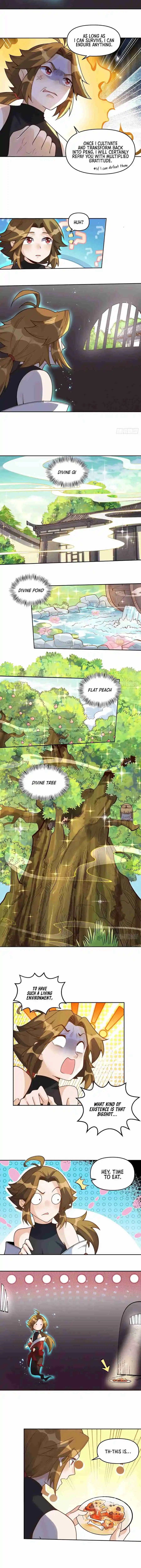 A Big Shot Actually 374