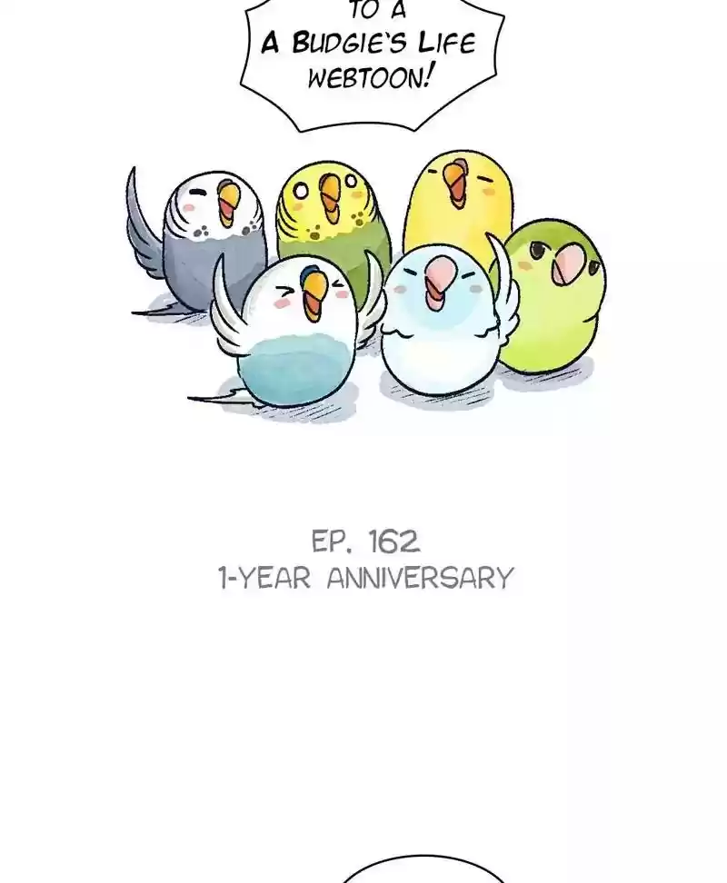 A Budgie's Life Chaper 163: Ep.162:
