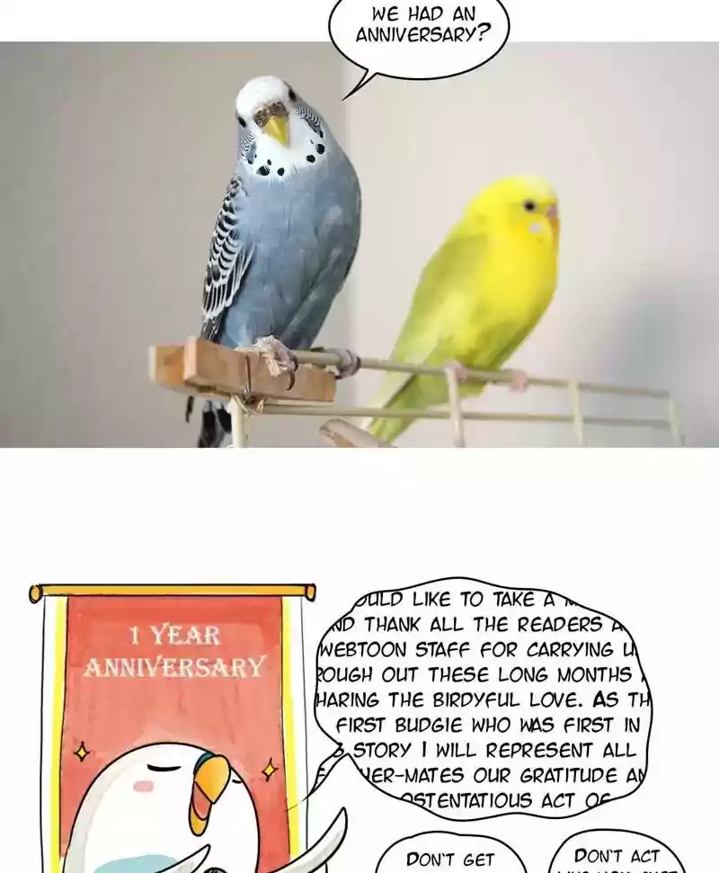 A Budgie's Life Chaper 163: Ep.162:
