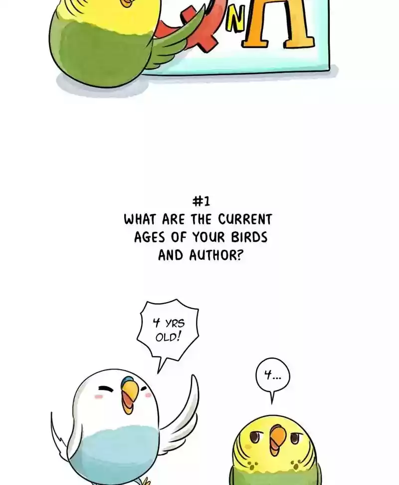 A Budgie's Life Chaper 163: Ep.162: