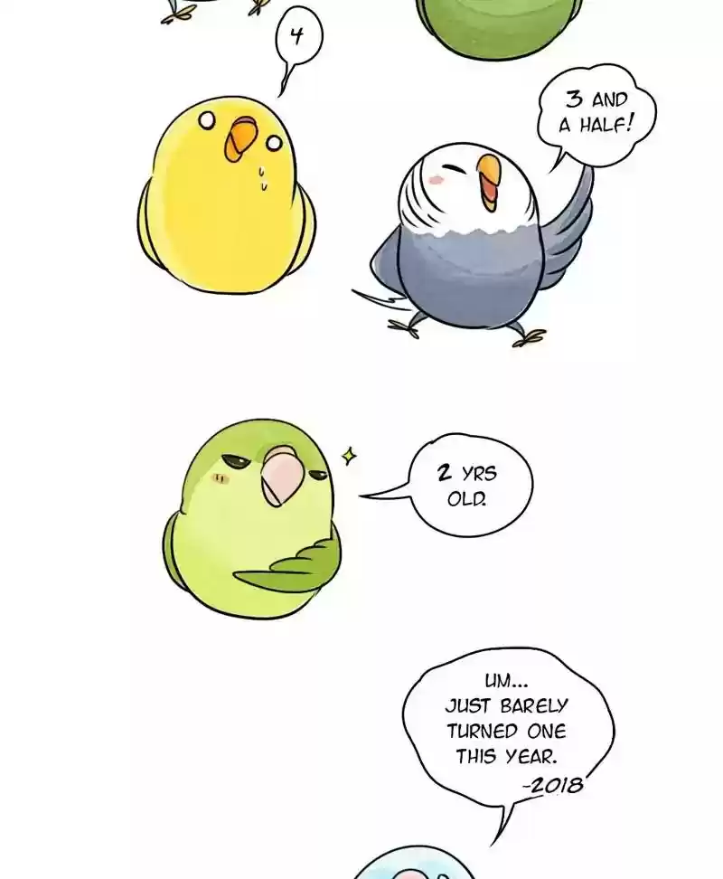 A Budgie's Life Chaper 163: Ep.162: