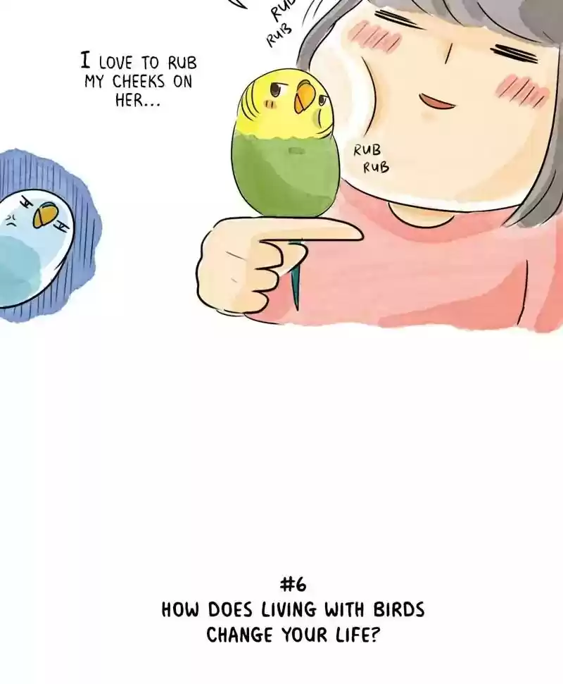 A Budgie's Life Chaper 163: Ep.162: