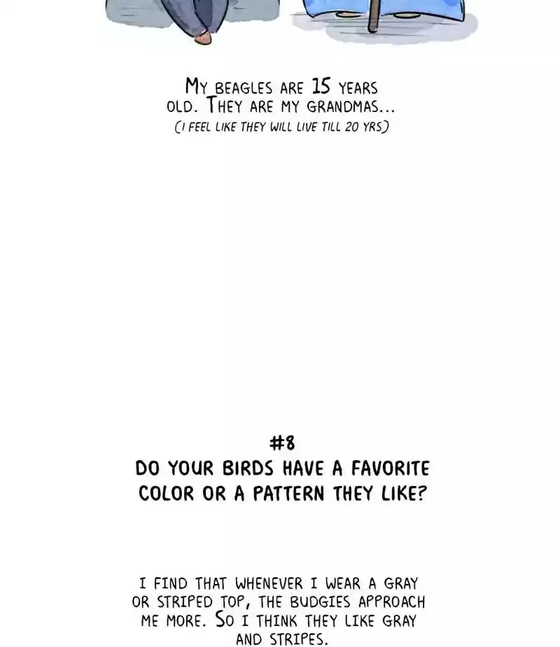 A Budgie's Life Chaper 163: Ep.162: