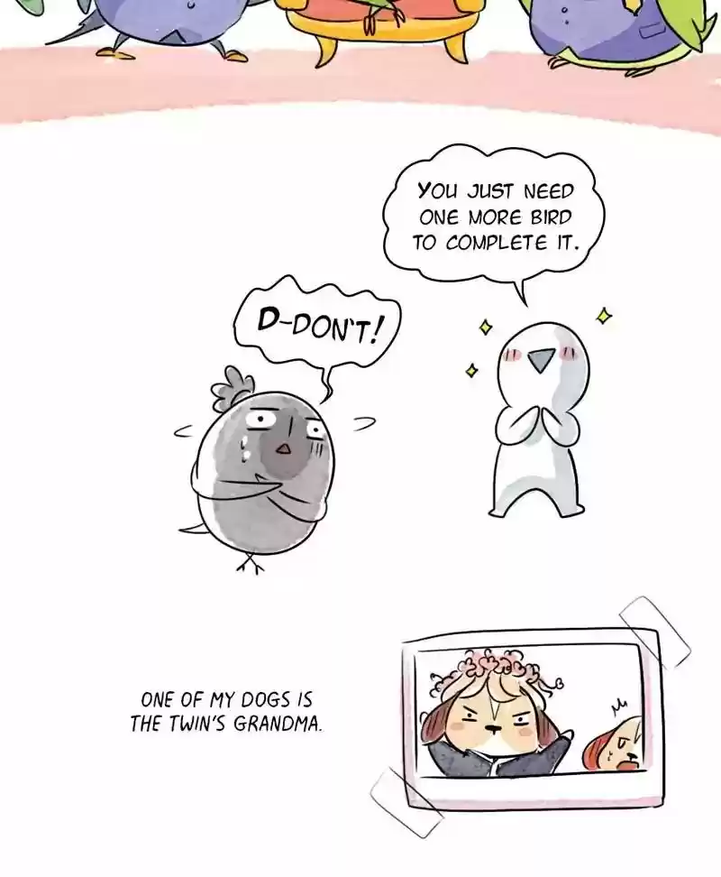 A Budgie's Life Chaper 163: Ep.162: