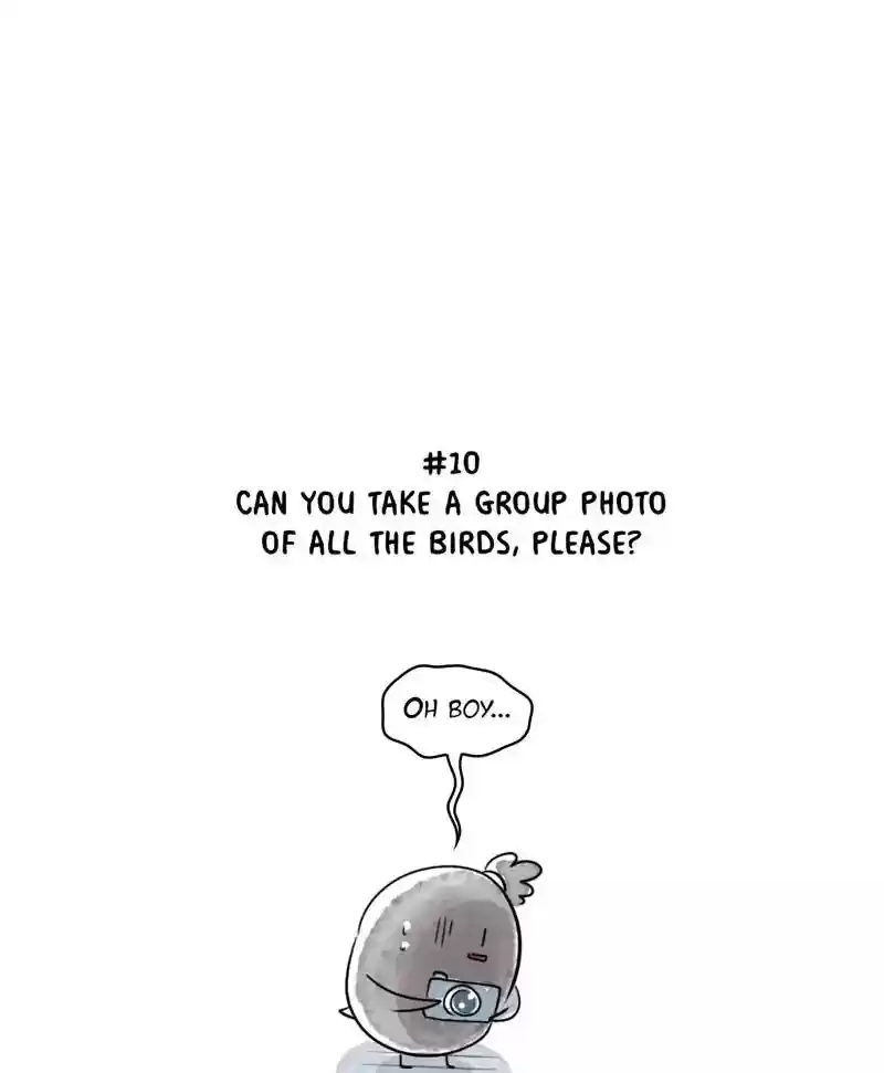 A Budgie's Life Chaper 163: Ep.162: