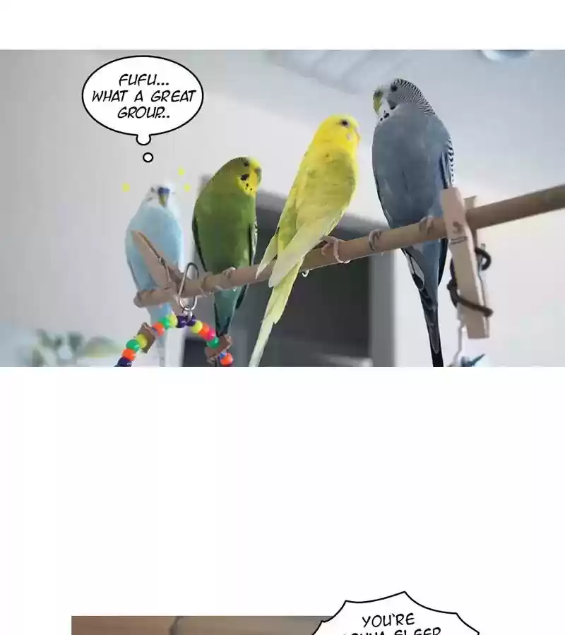 A Budgie's Life Chaper 163: Ep.162: