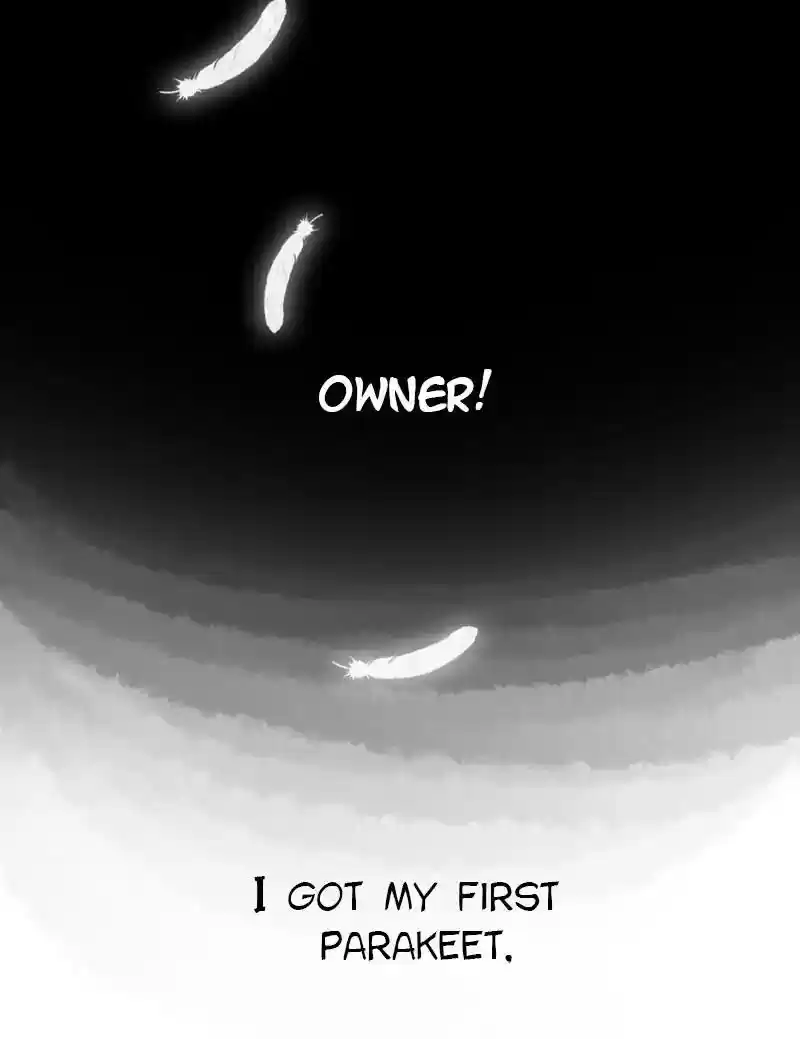 A Budgie's Life Chapter 1: Ep.1: