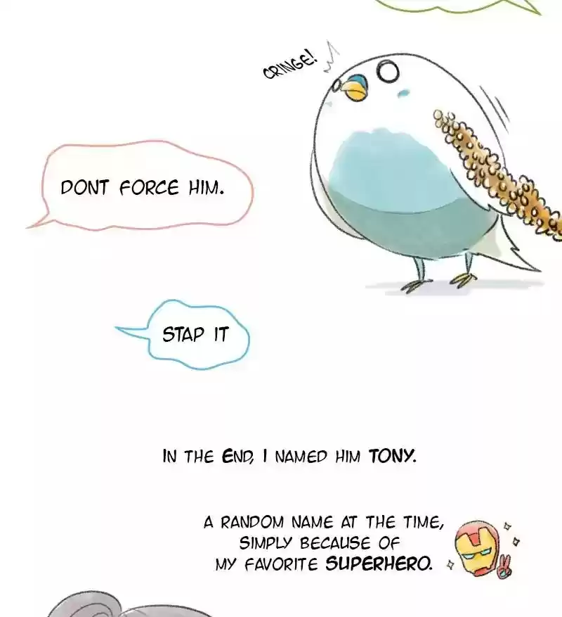A Budgie's Life Chapter 1: Ep.1: