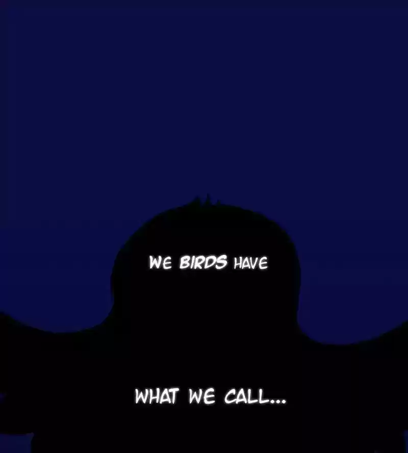 A Budgie's Life Chapter 10: Ep.10: