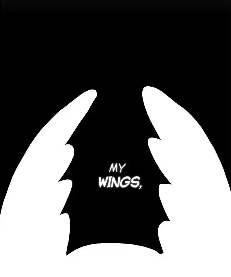 A Budgie's Life Chapter 10: Ep.10: