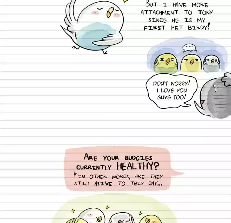 A Budgie's Life Chapter 100: Ep.100: