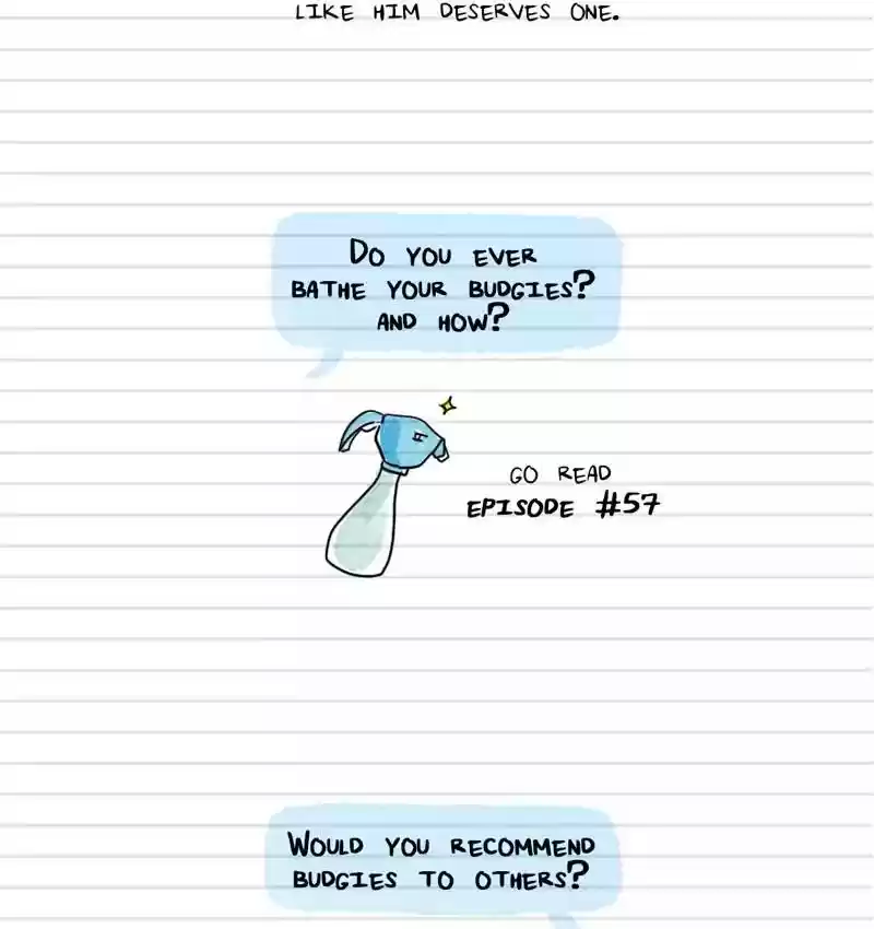 A Budgie's Life Chapter 100: Ep.100: