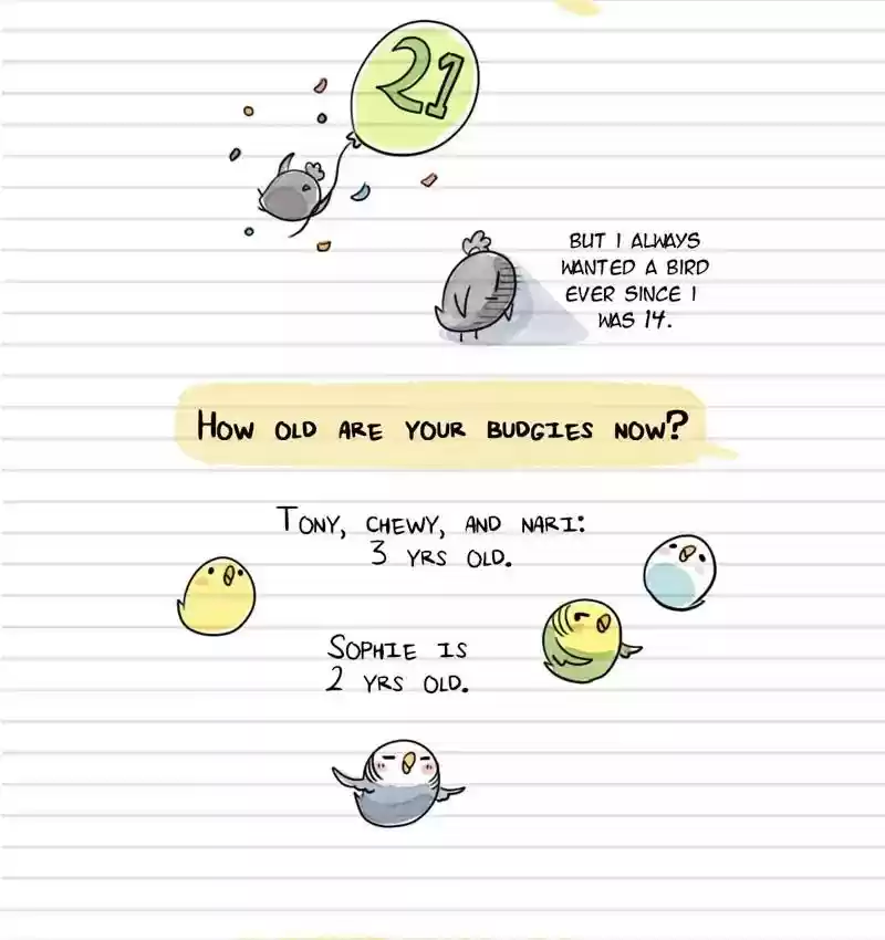 A Budgie's Life Chapter 100: Ep.100: