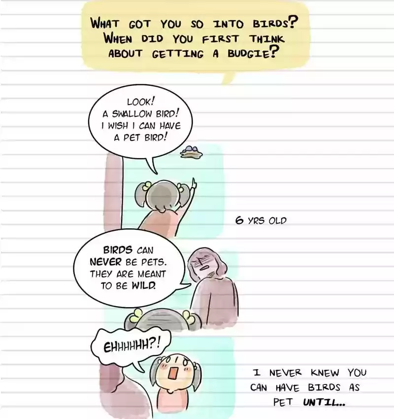 A Budgie's Life Chapter 100: Ep.100: