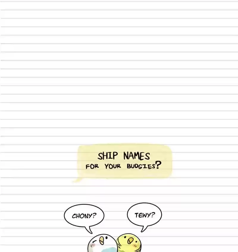 A Budgie's Life Chapter 100: Ep.100: