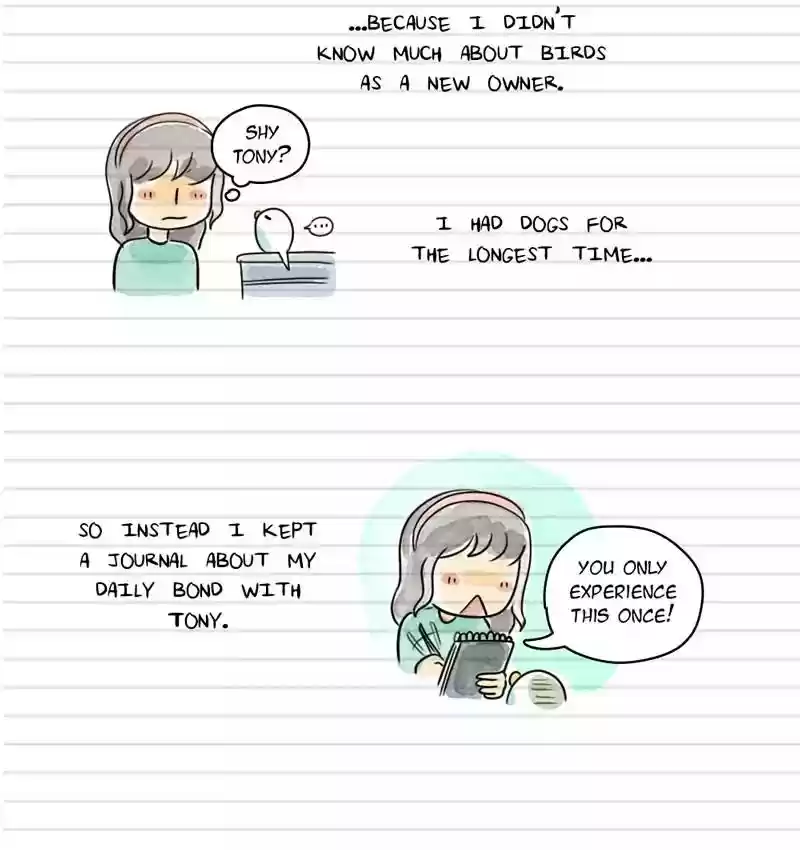 A Budgie's Life Chapter 100: Ep.100: