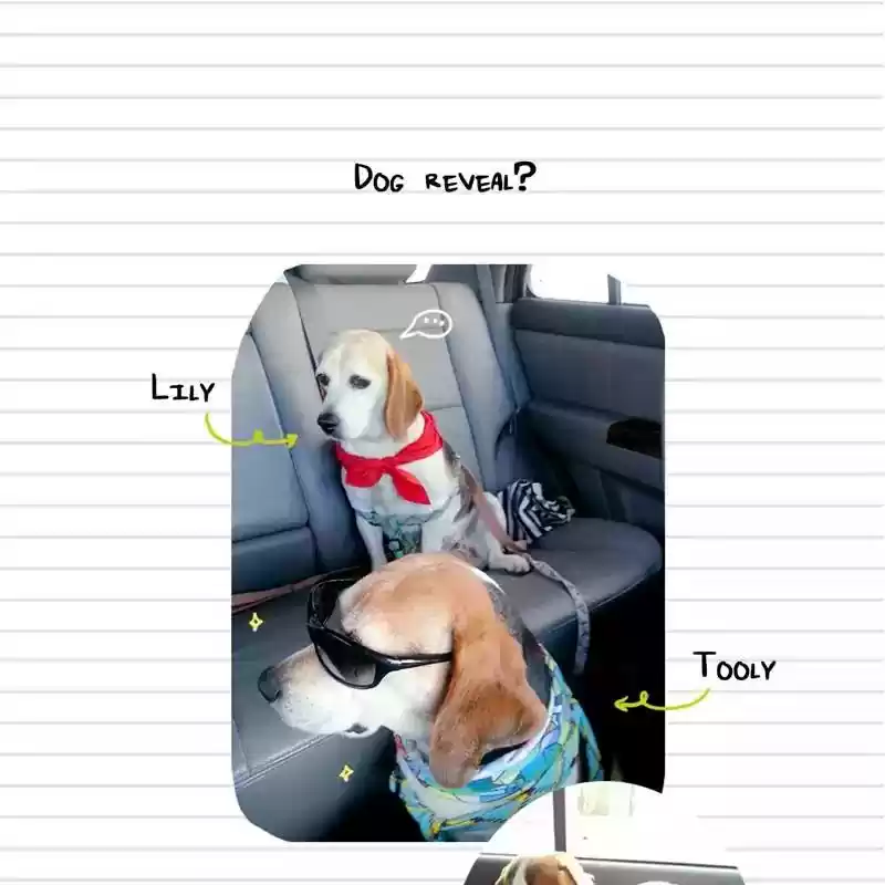 A Budgie's Life Chapter 100: Ep.100: