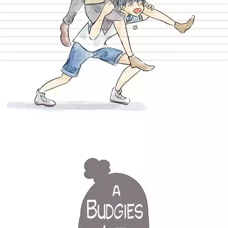 A Budgie's Life Chapter 100: Ep.100:
