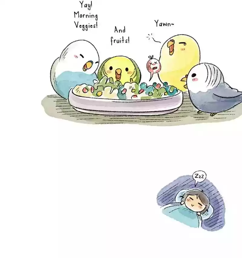 A Budgie's Life Chapter 101: Ep.101: