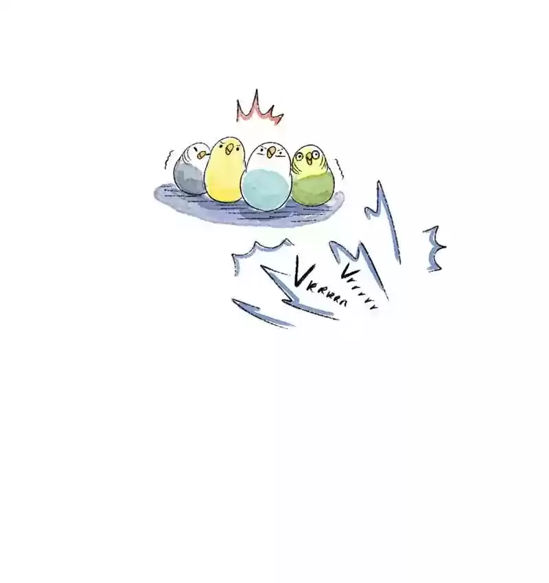 A Budgie's Life Chapter 101: Ep.101: