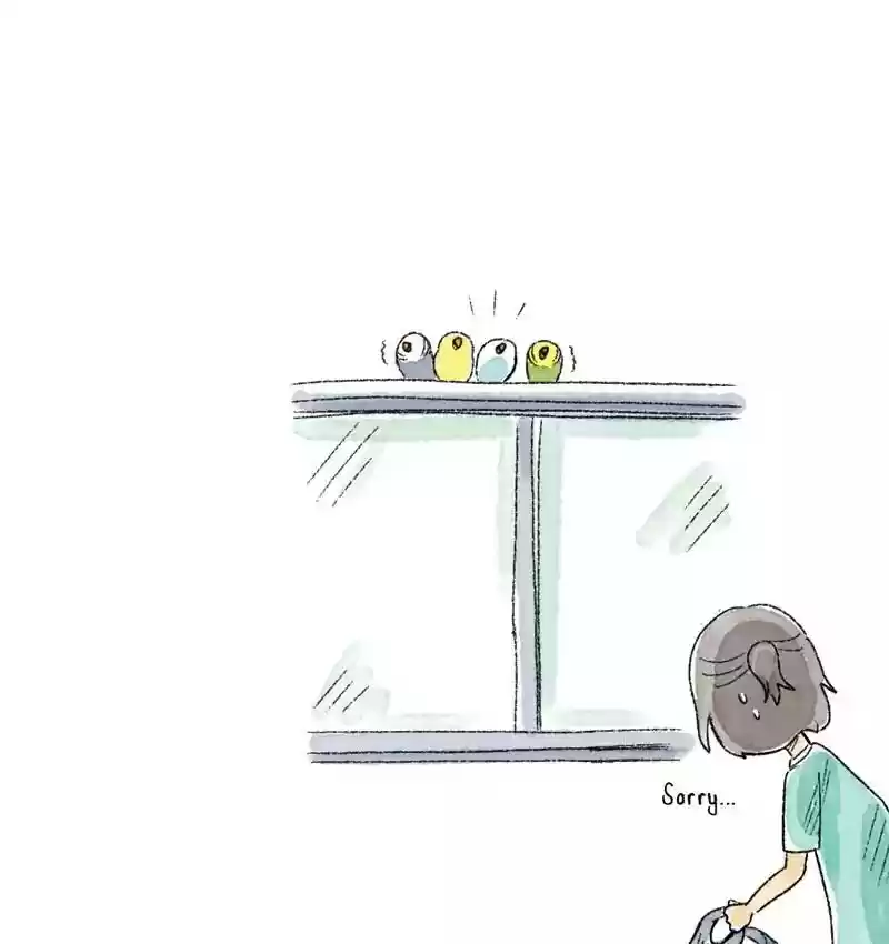 A Budgie's Life Chapter 101: Ep.101: