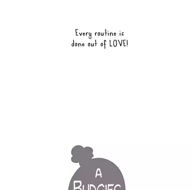 A Budgie's Life Chapter 101: Ep.101: