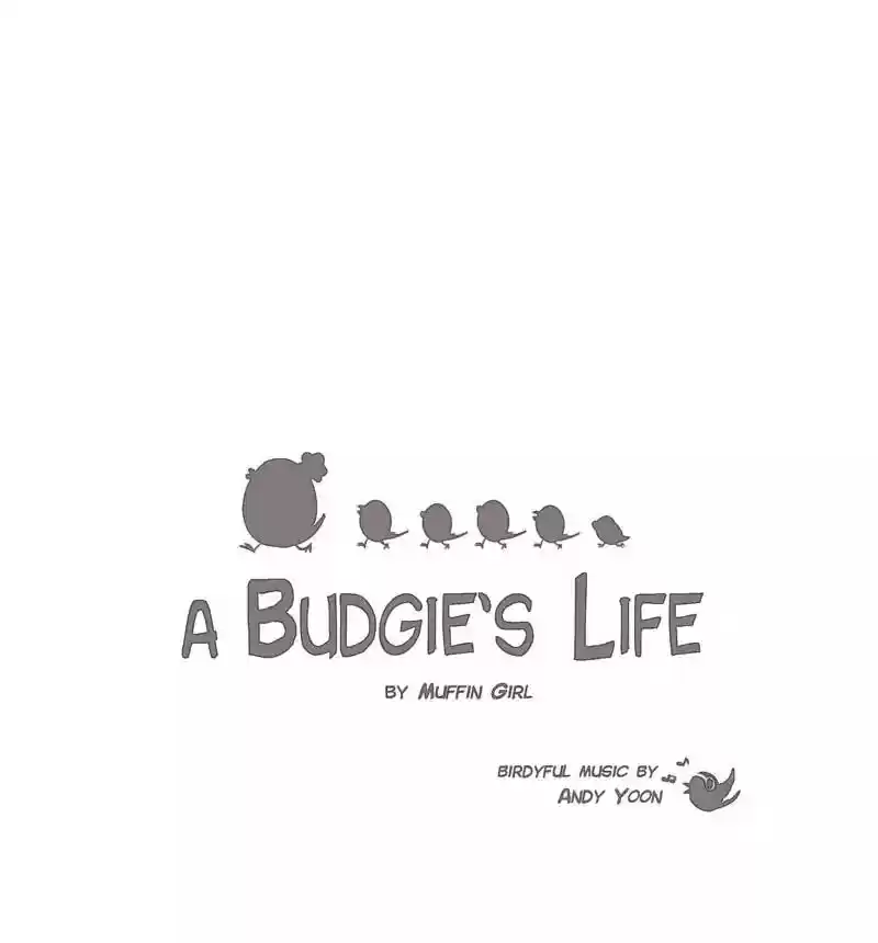 A Budgie's Life Chapter 102: Ep.102:
