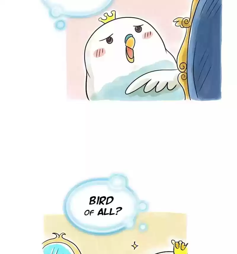 A Budgie's Life Chapter 102: Ep.102: