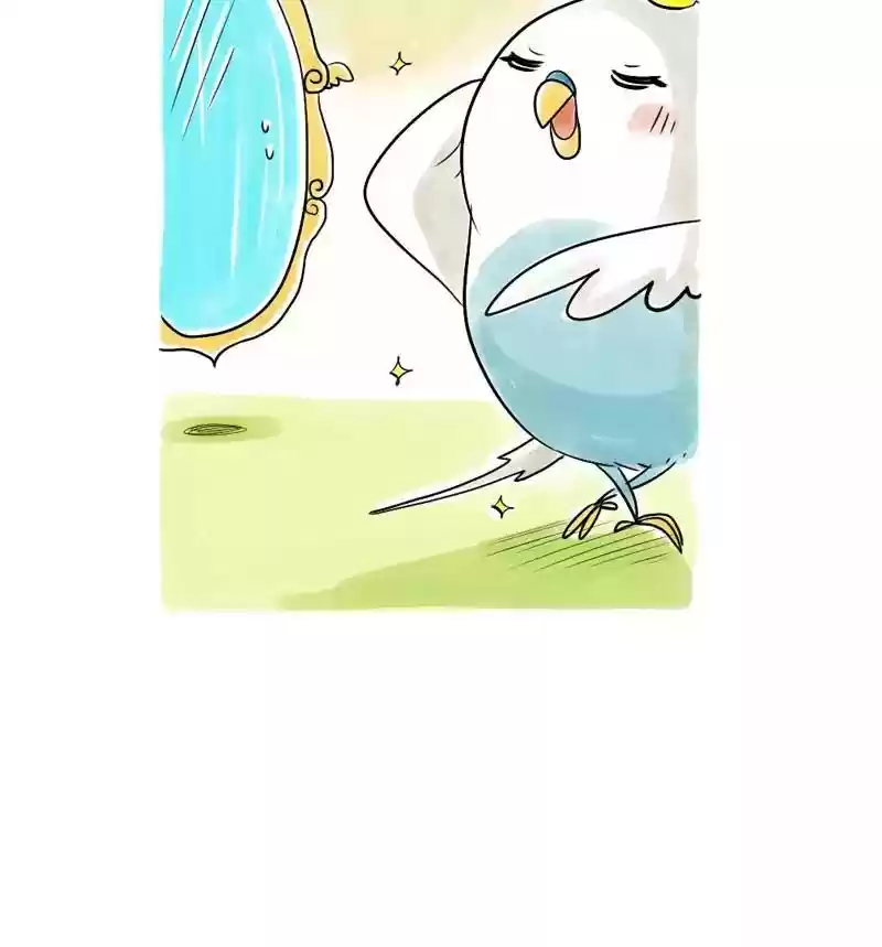 A Budgie's Life Chapter 102: Ep.102: