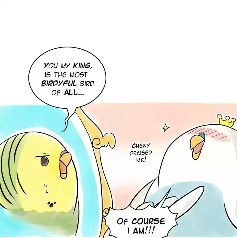 A Budgie's Life Chapter 102: Ep.102: