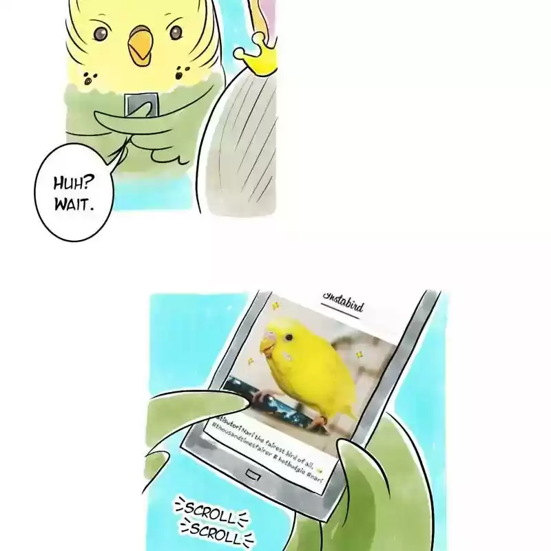 A Budgie's Life Chapter 102: Ep.102:
